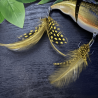 Plumes Vatalion PIKE